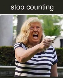 Karen Trump stop the count Meme Template
