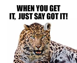 Leopard And Hearing Aid Meme Template