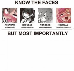 types of gao Meme Template