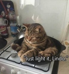 Just light it, Linda Meme Template