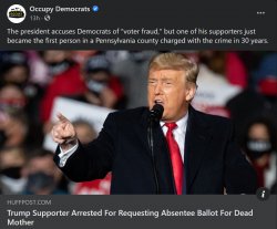 Trump supporter arrested voter fraud Meme Template