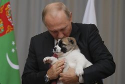 putin and his dogs Meme Template