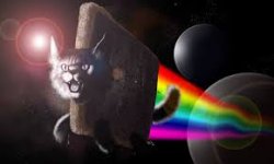 3d Nyan Cat Meme Template