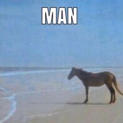 Horse looking at sea Meme Template