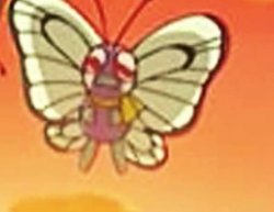 Crying butterfree Meme Template