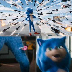 Sonic Gets Shot Meme Template