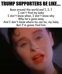 Lisa Stansfield Trump Supports Can't Find Their Baby Meme Template
