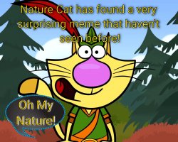 Nature Cat finds a Meme that never seen before!! Meme Template
