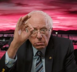 Bernie Sanders zero okay Meme Template