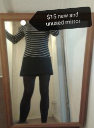 Mirror Meme Template