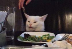 cat eating salad Meme Template