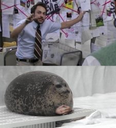 Seal Explanation Meme Template