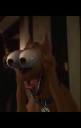 Scooby Doo Wtf eyes Meme Template