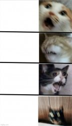 Scaredy Cat Meme Template