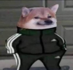 Slav doge Meme Template