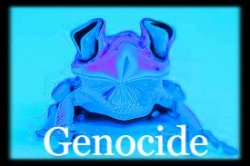 Genocide Frog Meme Template