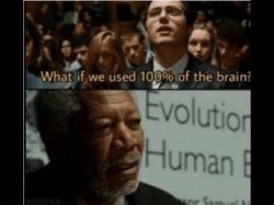 100% brain Meme Template