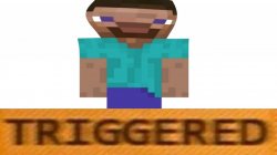 steve Meme Template