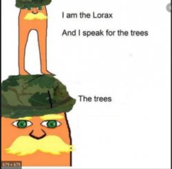 lorax Meme Template