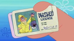 Phished license Meme Template