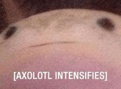 Axolotl Intensifies Meme Template