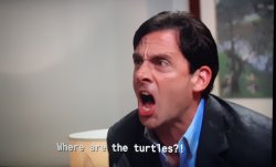 Where are the turtles? Meme Template
