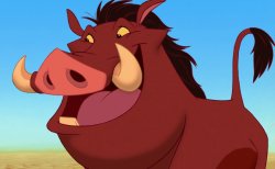 Pumbaa good advice Meme Template