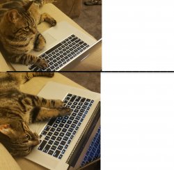 Cat computer Meme Template