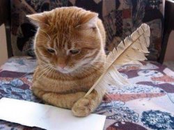Pussy cat author Meme Template
