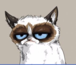 Grumpy Cat Meme Template