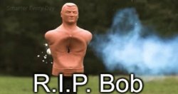 RIP Bob Meme Template