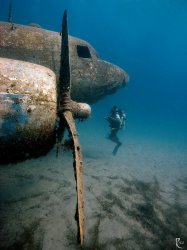 Sunken airplane scuba diver Meme Template