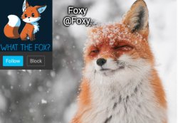 Foxy's announcement template Meme Template
