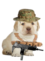 GDF Queires Mercenary Meme Template