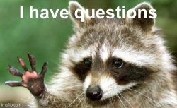 I have questions raccoon Meme Template