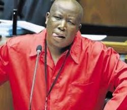 Julius Malema Meme Template