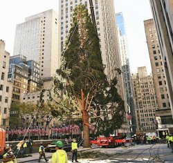 Rockefeller Tree Meme Template