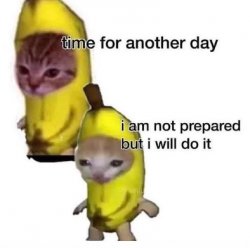 Banana Cat Meme Template
