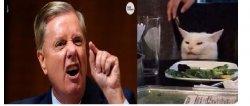 Lindsey Graham Table Cat Meme Template