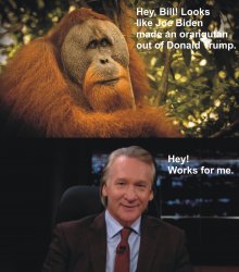 Orangutan - Bill Maher Meme Template