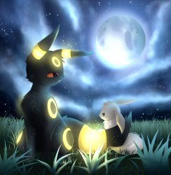 Umbreon with a rabbit Meme Template