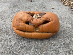 Old Man Pumpkin Meme Template