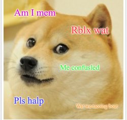 Doge makes u seem less stupid Meme Template