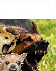 Angry Dogs Meme Template