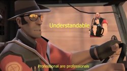 Professional are professionals Meme Template