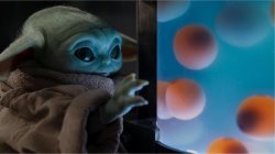 Baby Yoda Looking at Eggs Meme Template