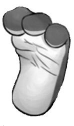 Cute Bunny Foot Meme Template