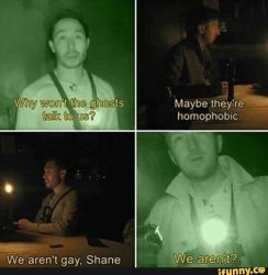 We aren't gay, Shane Meme Template