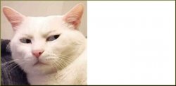 Skeptical Cat wide template Meme Template