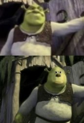 Shocked Shrek Face Swap Meme Template
